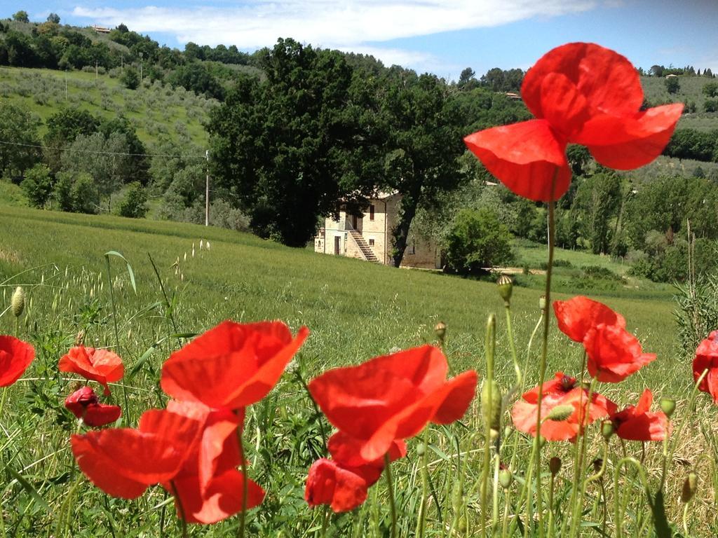 Appartamenti Verde Collina Umbra Bevagna Exteriér fotografie