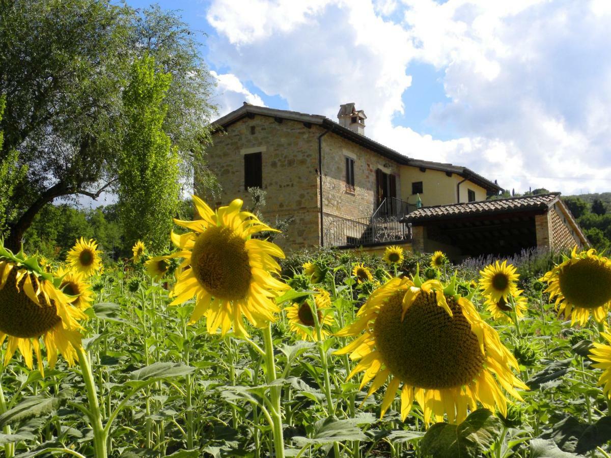 Appartamenti Verde Collina Umbra Bevagna Exteriér fotografie