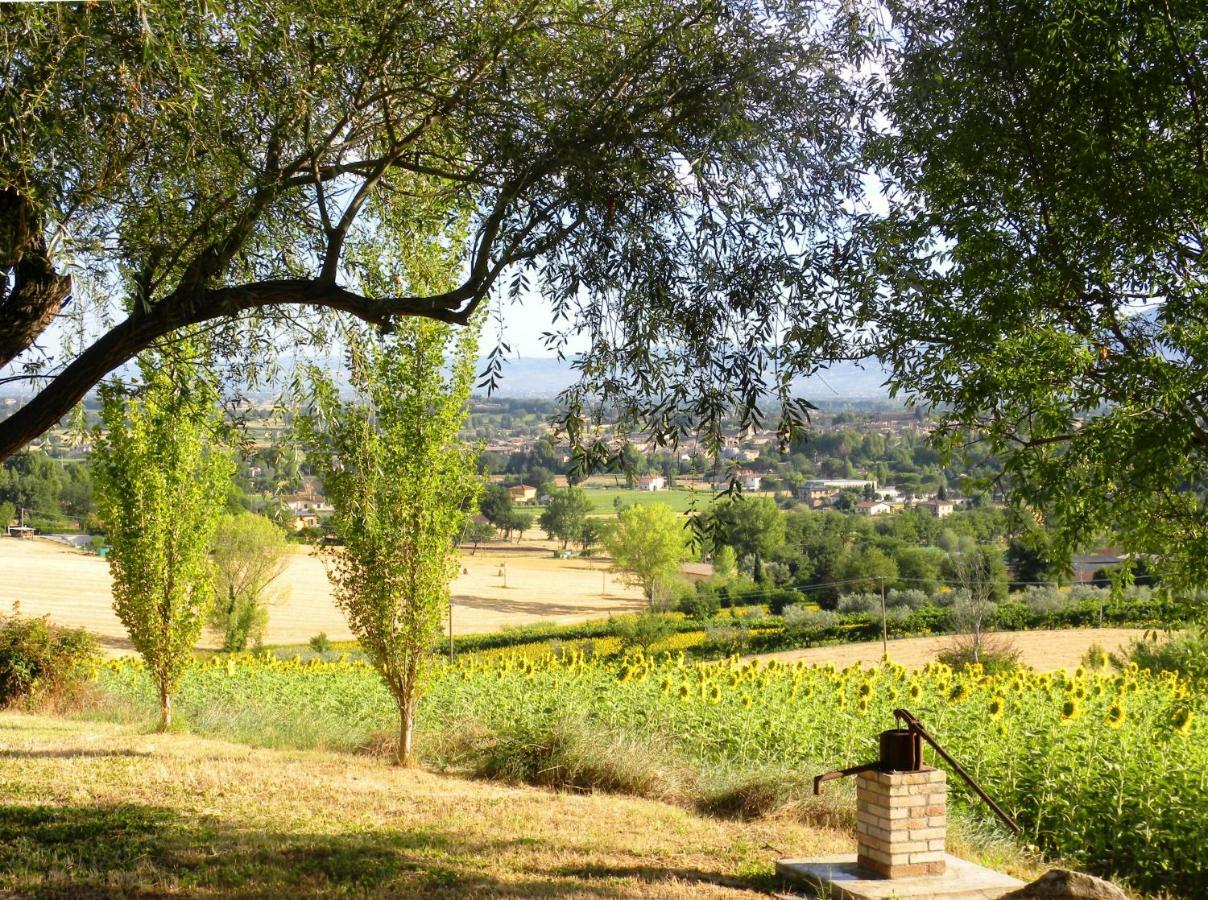 Appartamenti Verde Collina Umbra Bevagna Exteriér fotografie