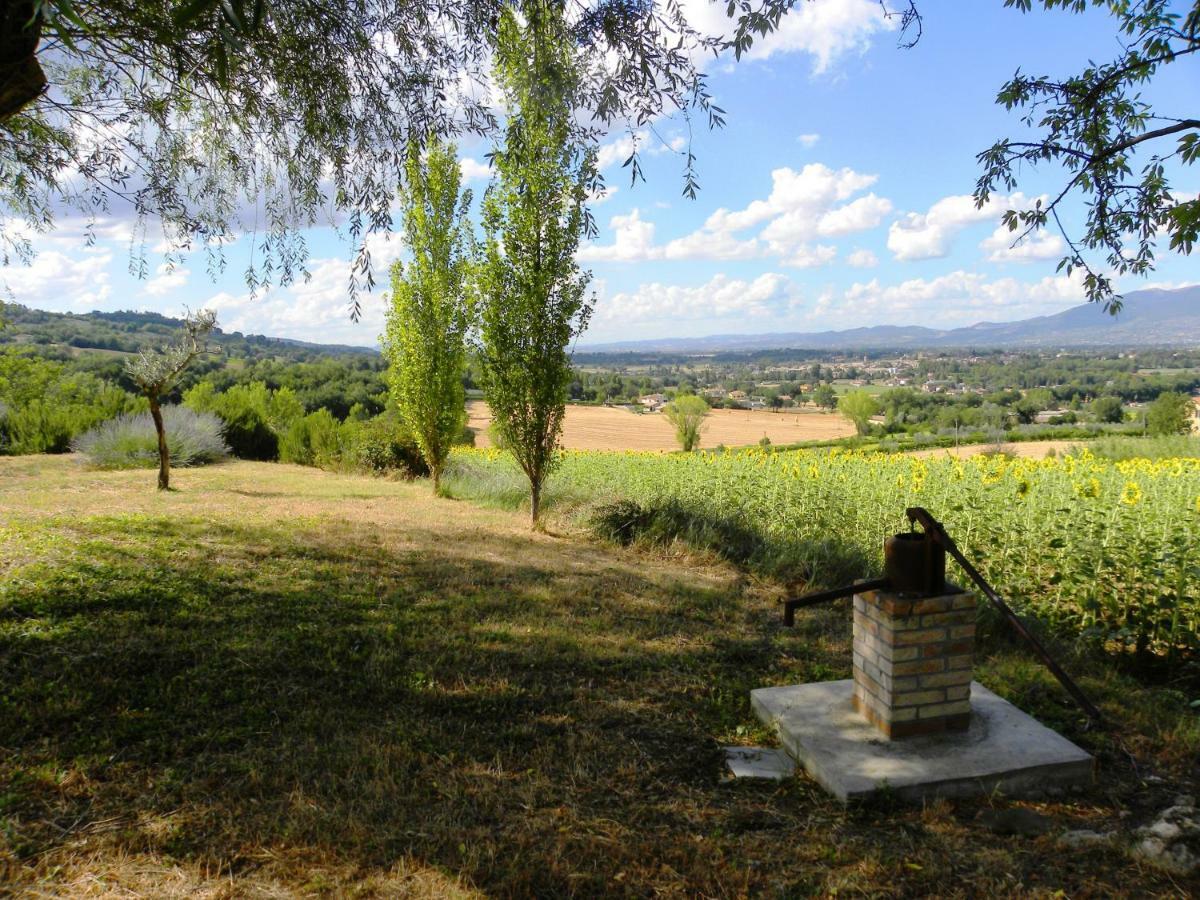 Appartamenti Verde Collina Umbra Bevagna Exteriér fotografie