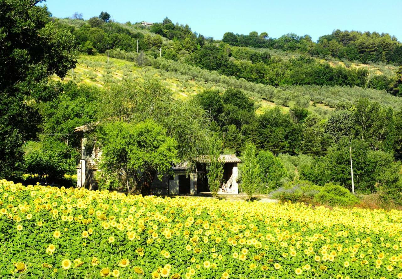 Appartamenti Verde Collina Umbra Bevagna Exteriér fotografie
