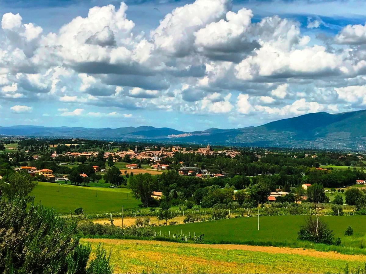 Appartamenti Verde Collina Umbra Bevagna Exteriér fotografie