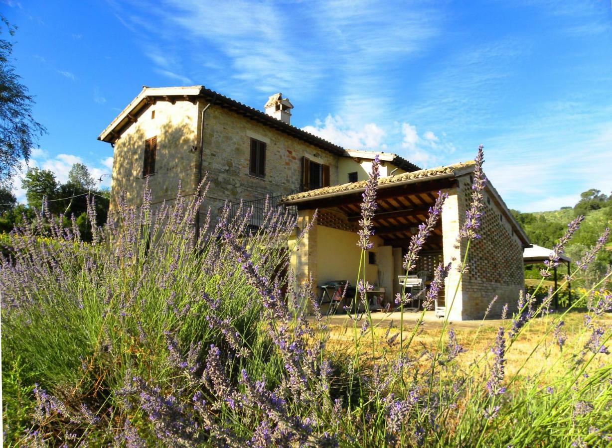 Appartamenti Verde Collina Umbra Bevagna Exteriér fotografie