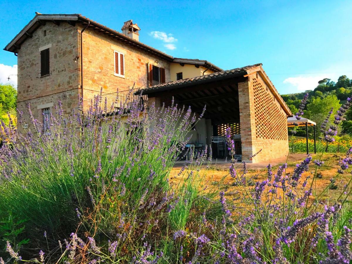 Appartamenti Verde Collina Umbra Bevagna Exteriér fotografie