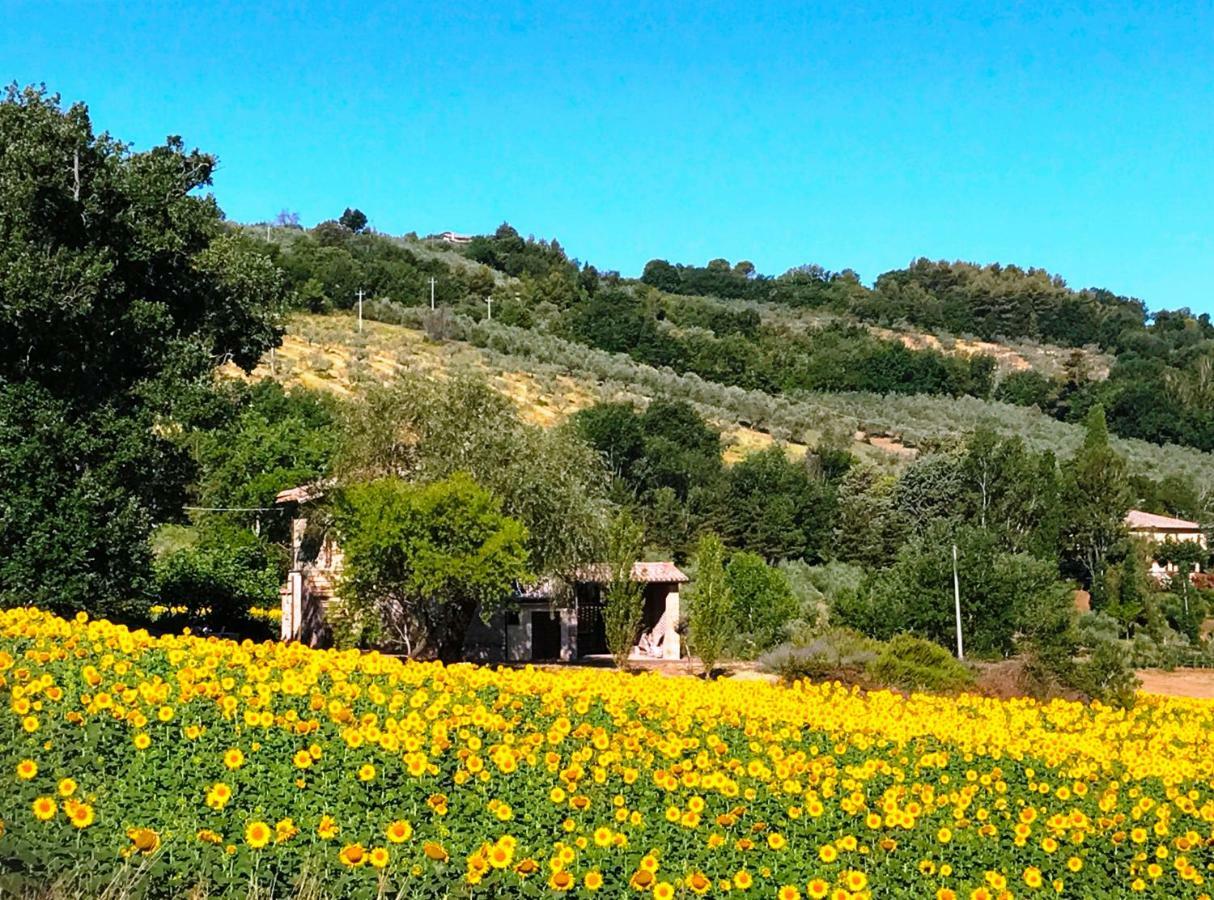 Appartamenti Verde Collina Umbra Bevagna Exteriér fotografie
